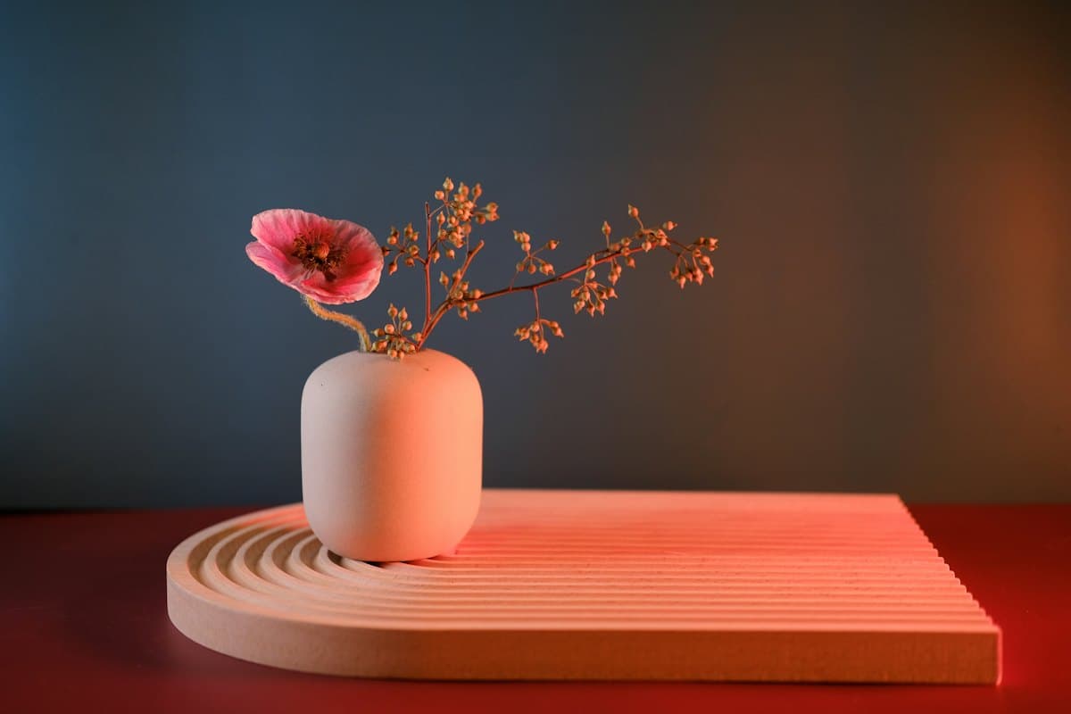 Single pink stem arranged in a pale vessel against a soft ground