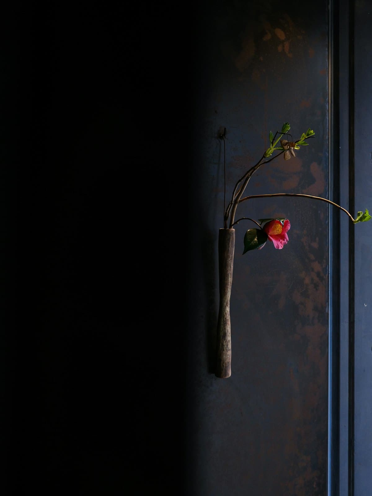 Slim wall-mounted vase holding a single flowering stem